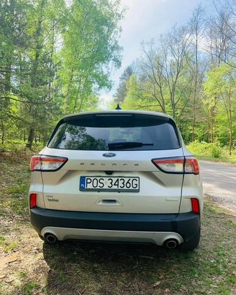 Ford Escape cena 71900 przebieg: 96140, rok produkcji 2020 z Susz małe 154